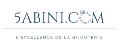 5abini.com